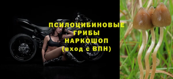 спиды Алексин