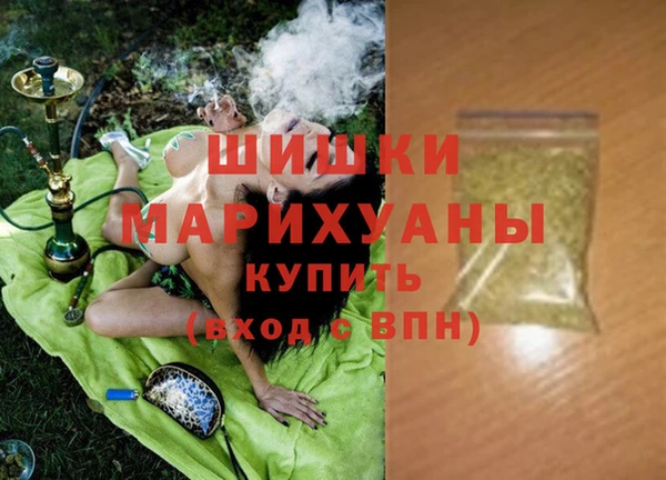 шишки Алзамай