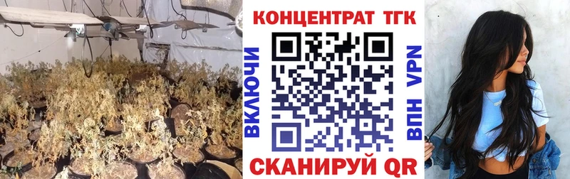 ТГК Wax  ОМГ ОМГ зеркало  Лодейное Поле 