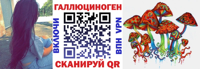 закладка  Лодейное Поле  Галлюциногенные грибы GOLDEN TEACHER 